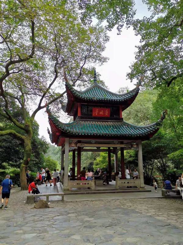 ´ɽ繤վʮ꣬´ɽμ